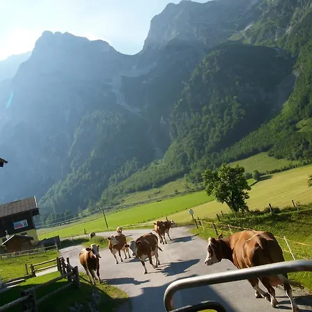 Vorderhof Sankt Martin am Tennengebirge